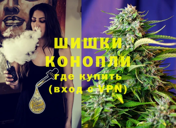 стафф Волоколамск