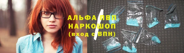 стафф Волоколамск