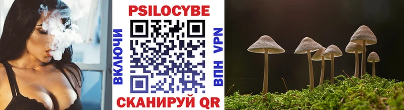 Псилоцибиновые грибы ЛСД  Геленджик 