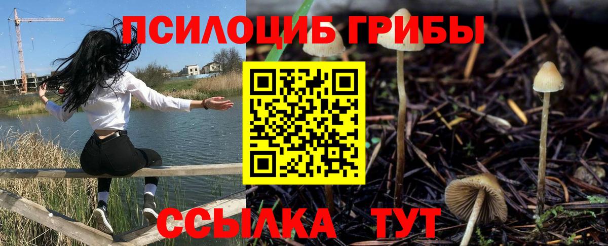 Псилоцибиновые грибы мухоморы Геленджик