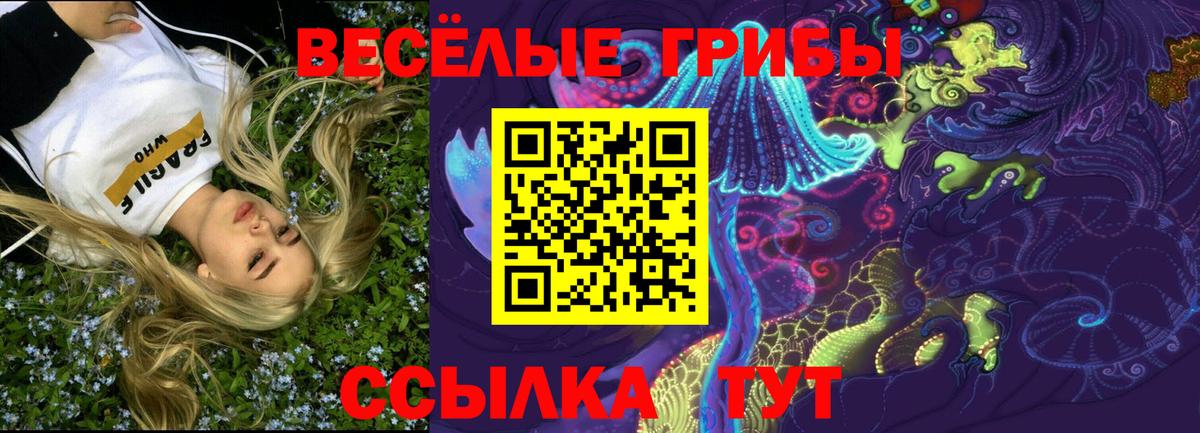 Галлюциногенные грибы GOLDEN TEACHER  Вход с VPN  продажа наркотиков  Галлюциногенные грибы Psilocybine cubensis  Геленджик 