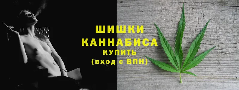 как найти наркотики  Геленджик  Шишки марихуана White Widow 